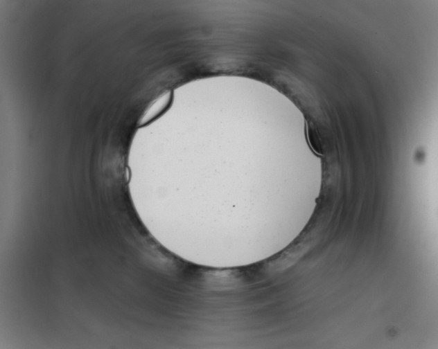 X0000101420281200808041135