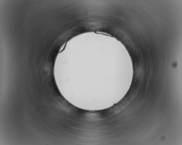 X0000101420283200808041135
