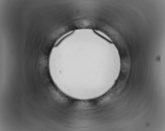X0000101420284200808041135