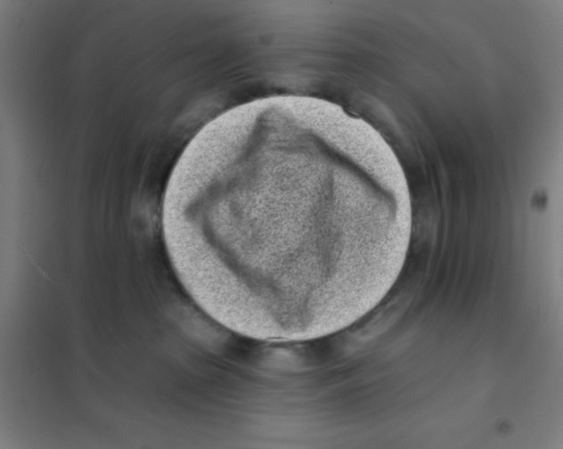 X0000101420285200808041135