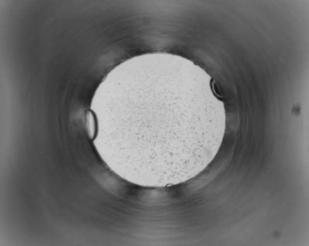 X0000101420286200808041135