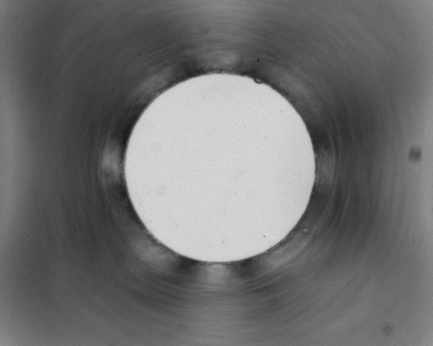 X0000101420287200808041135