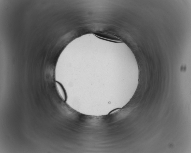 X0000101420288200808041135