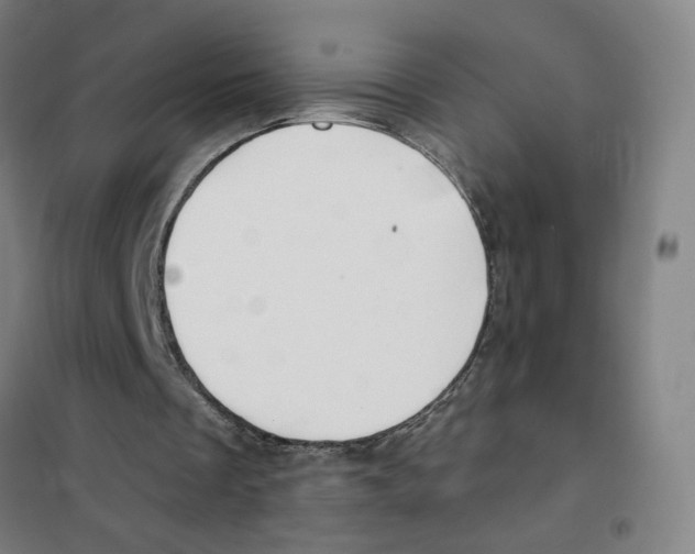 X0000101420289200808041134