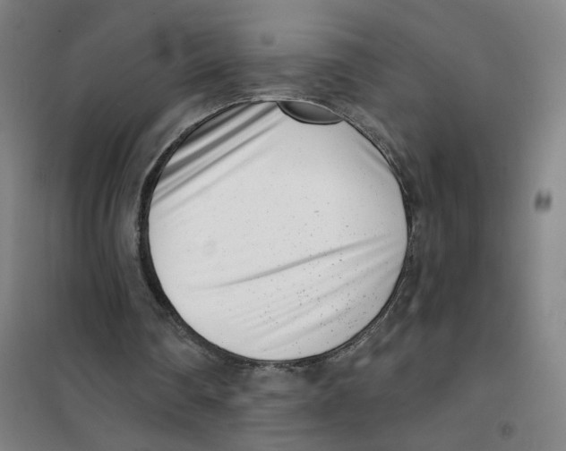 X0000101420290200808041134