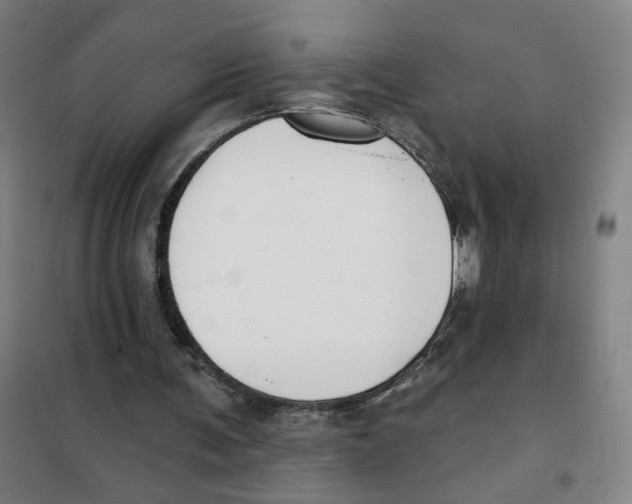 X0000101420291200808041134