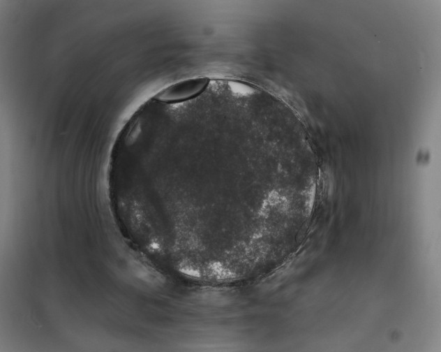 X0000101420292200808041134