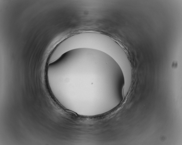 X0000101420293200808041134