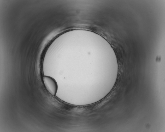 X0000101420294200808041134