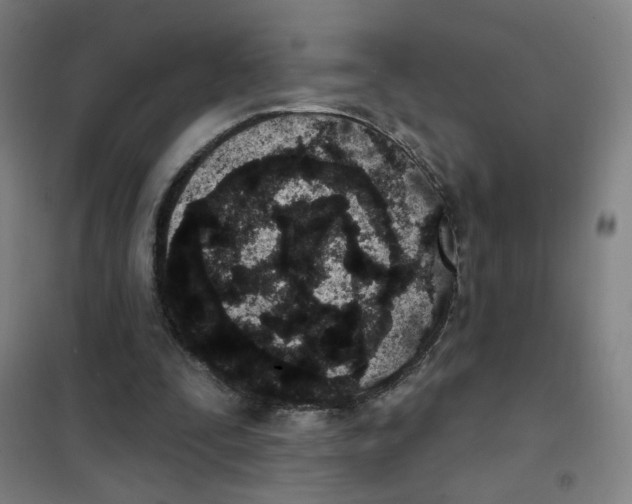 X0000101420295200808041134