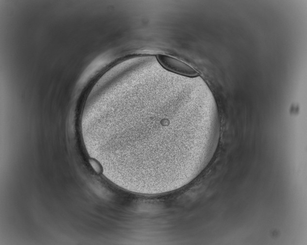 X0000101420296200808041134