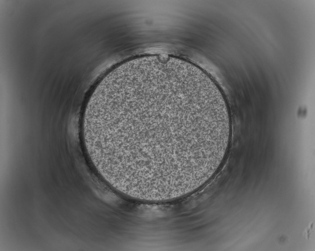 X0000101420297200808041134