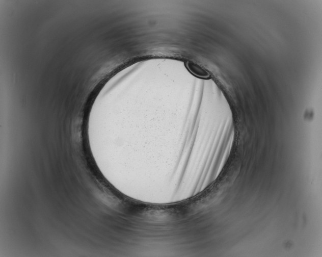X0000101420299200808041134