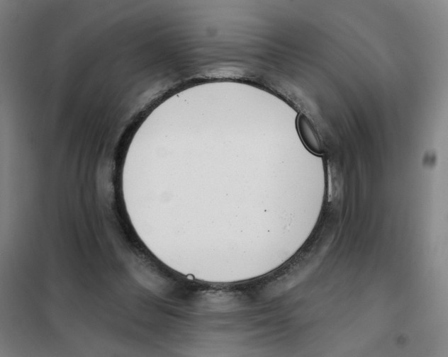 X0000101420300200808041134