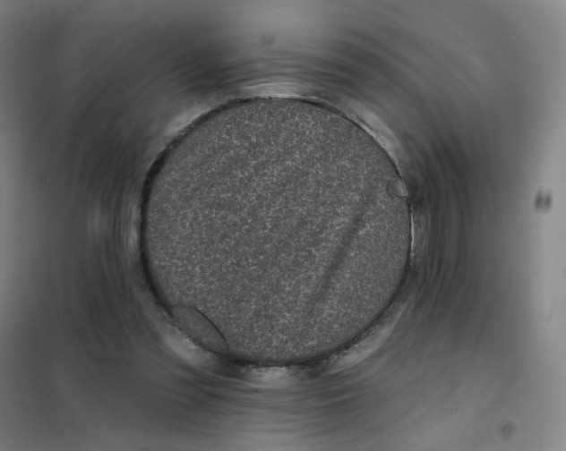 X0000101420301200808041134