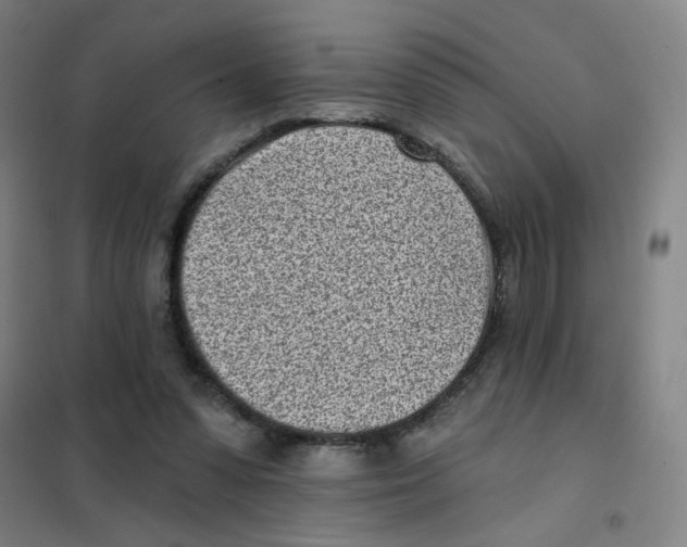 X0000101420303200808041134