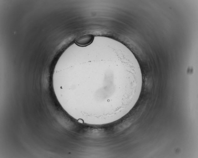 X0000101420304200808041134