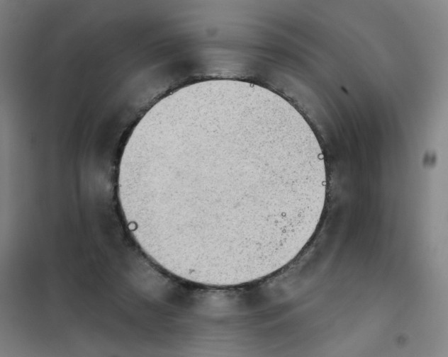 X0000101420305200808041134