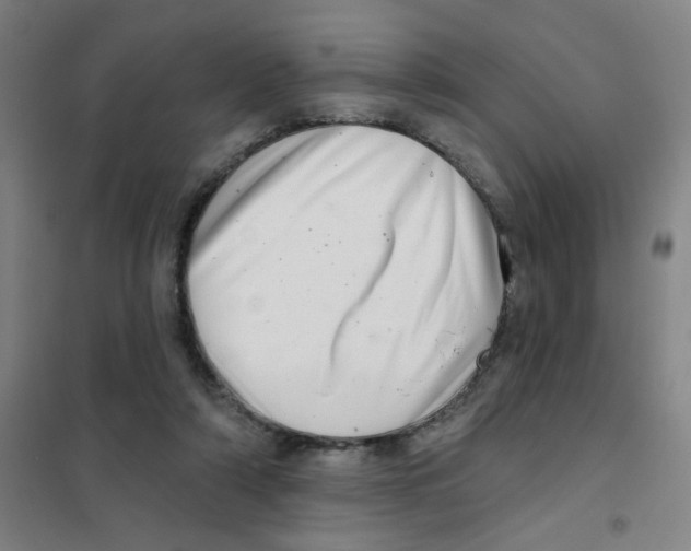 X0000101420306200808041134