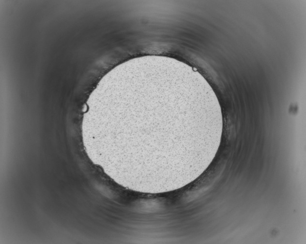 X0000101420307200808041134