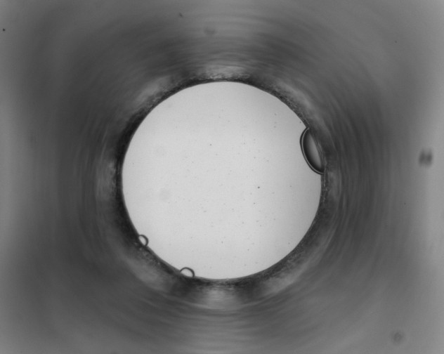 X0000101420308200808041134