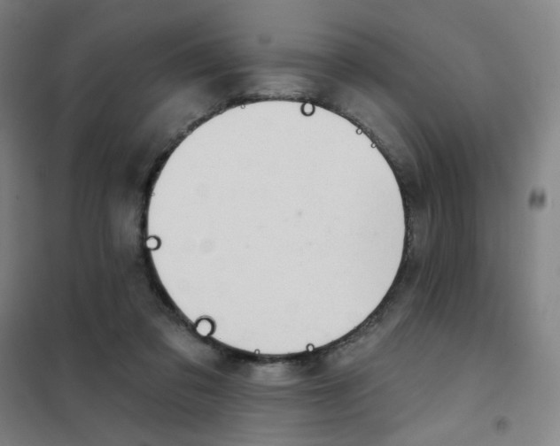 X0000101420309200808041134