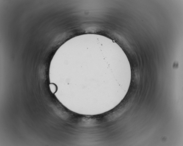 X0000101420311200808041134
