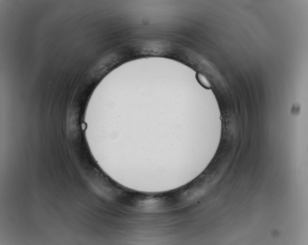 X0000101420312200808041134