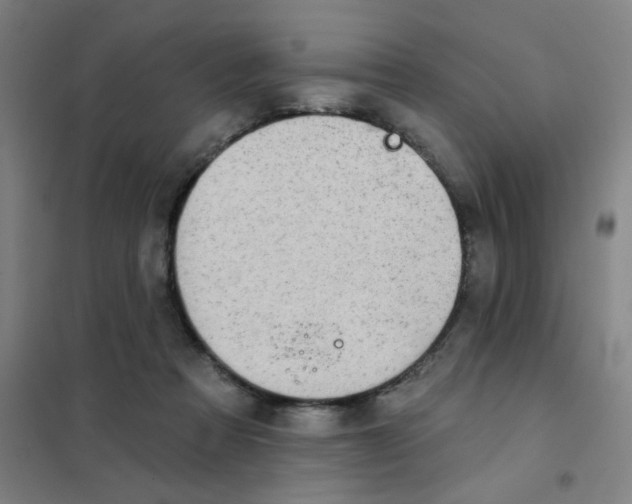 X0000101420313200808041134
