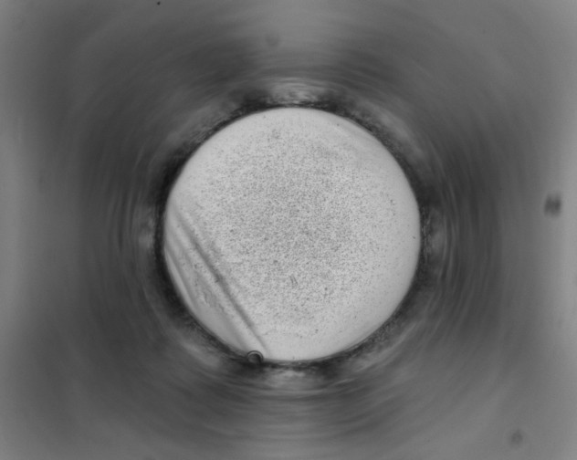 X0000101420315200808041134