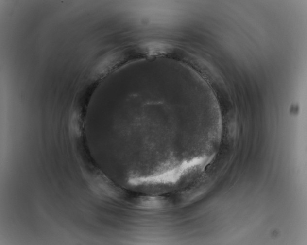 X0000101420316200808041134