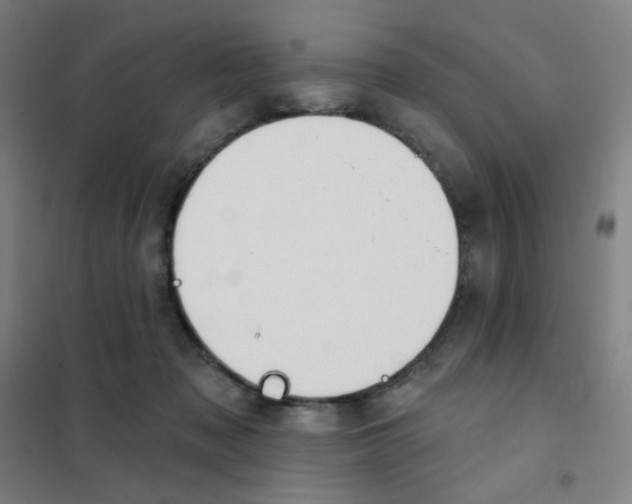X0000101420317200808041134