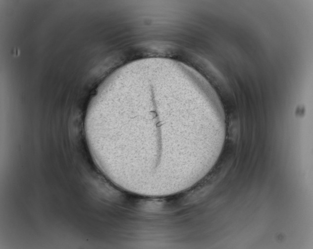 X0000101420318200808041134