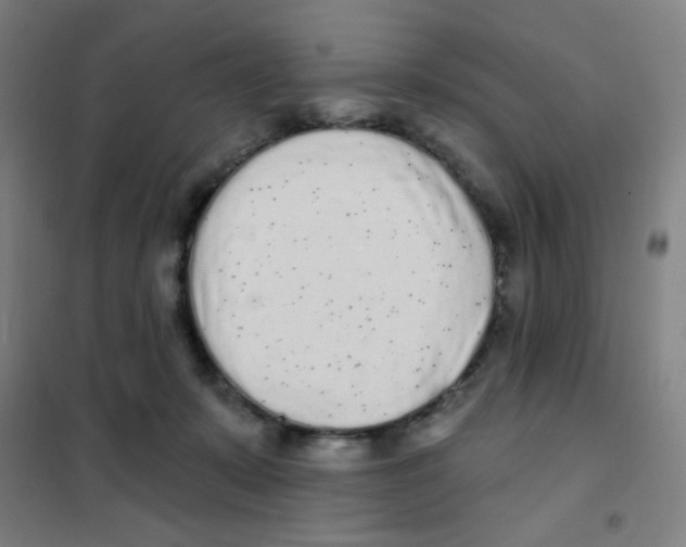 X0000101420319200808041134