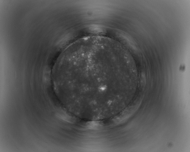 X0000101420320200808041134