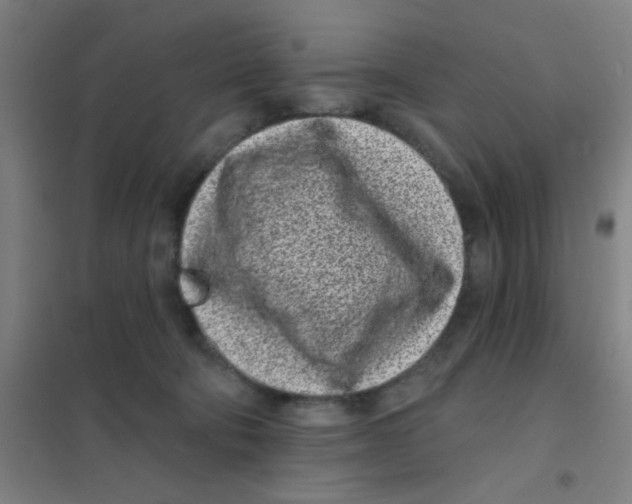 X0000101420322200808041134
