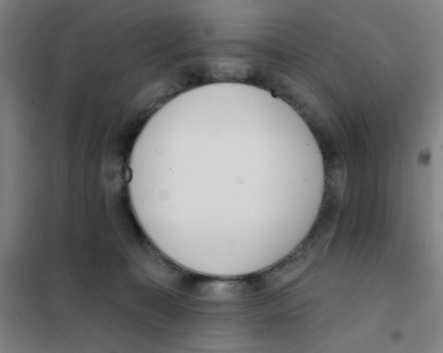 X0000101420323200808041134