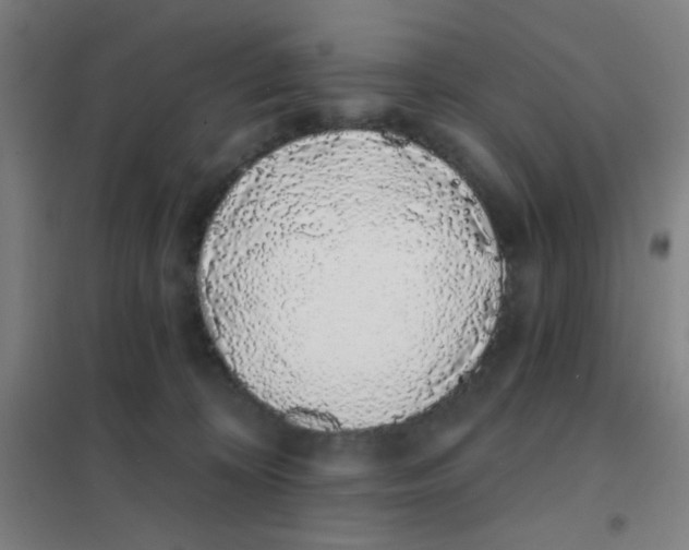 X0000101420324200808041134