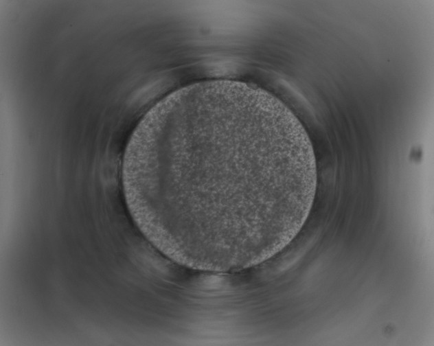 X0000101420325200808041134