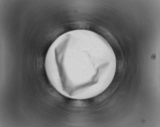 X0000101420326200808041134