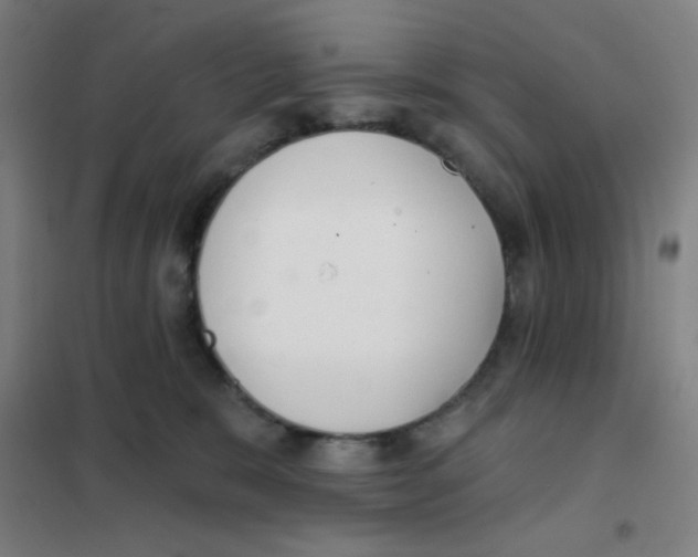 X0000101420327200808041134
