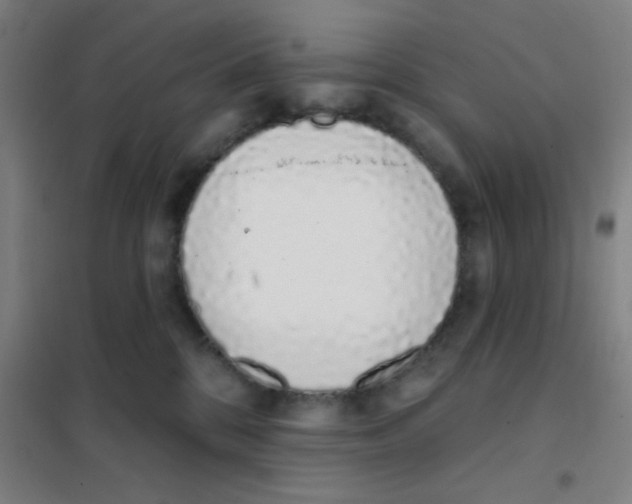 X0000101420328200808041134