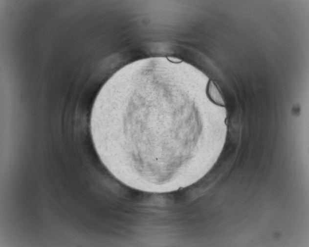 X0000101420330200808041134
