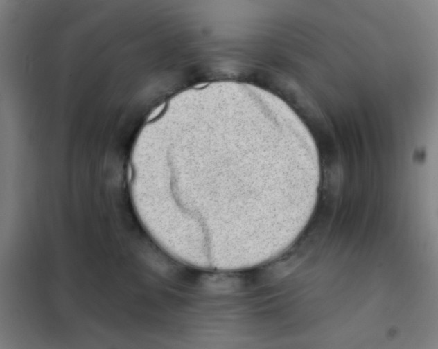 X0000101420331200808041134