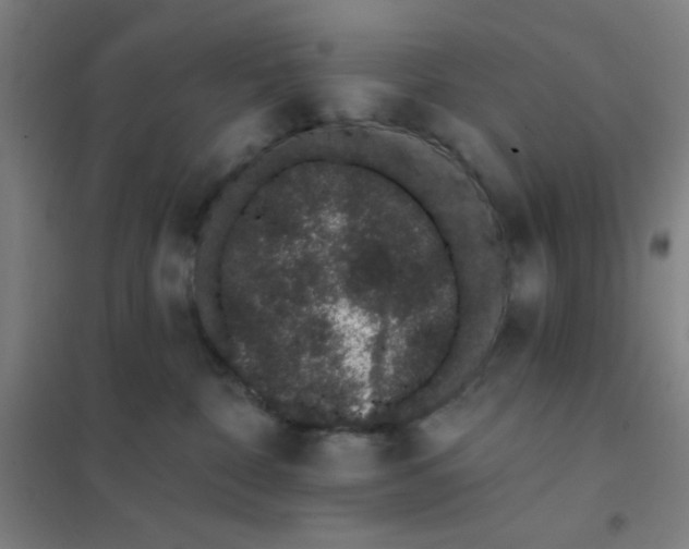 X0000101420332200808041134