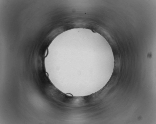 X0000101420333200808041134
