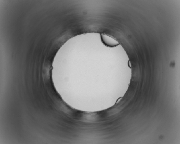 X0000101420334200808041134