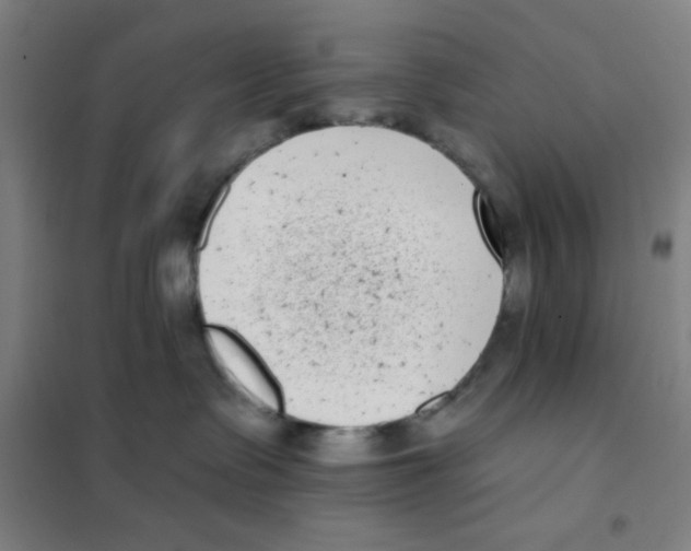 X0000101420335200808041134