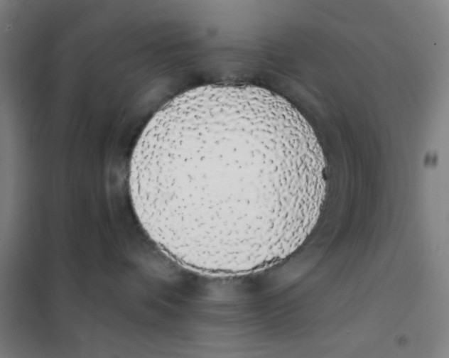 X0000101420336200808041134