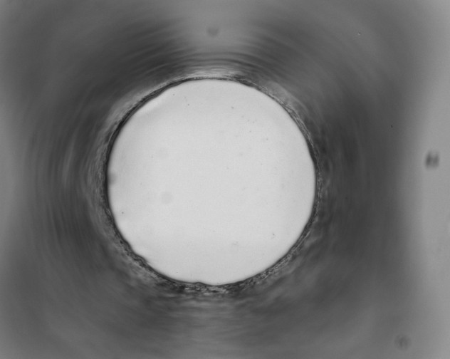 X0000101420337200808041133